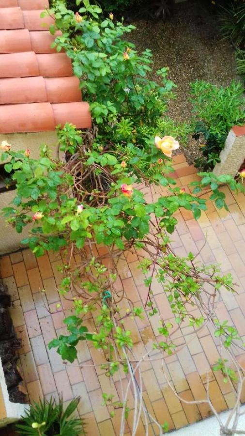 Maison Charmante A Sainte-Marie Avec Grand Jardin Екстериор снимка